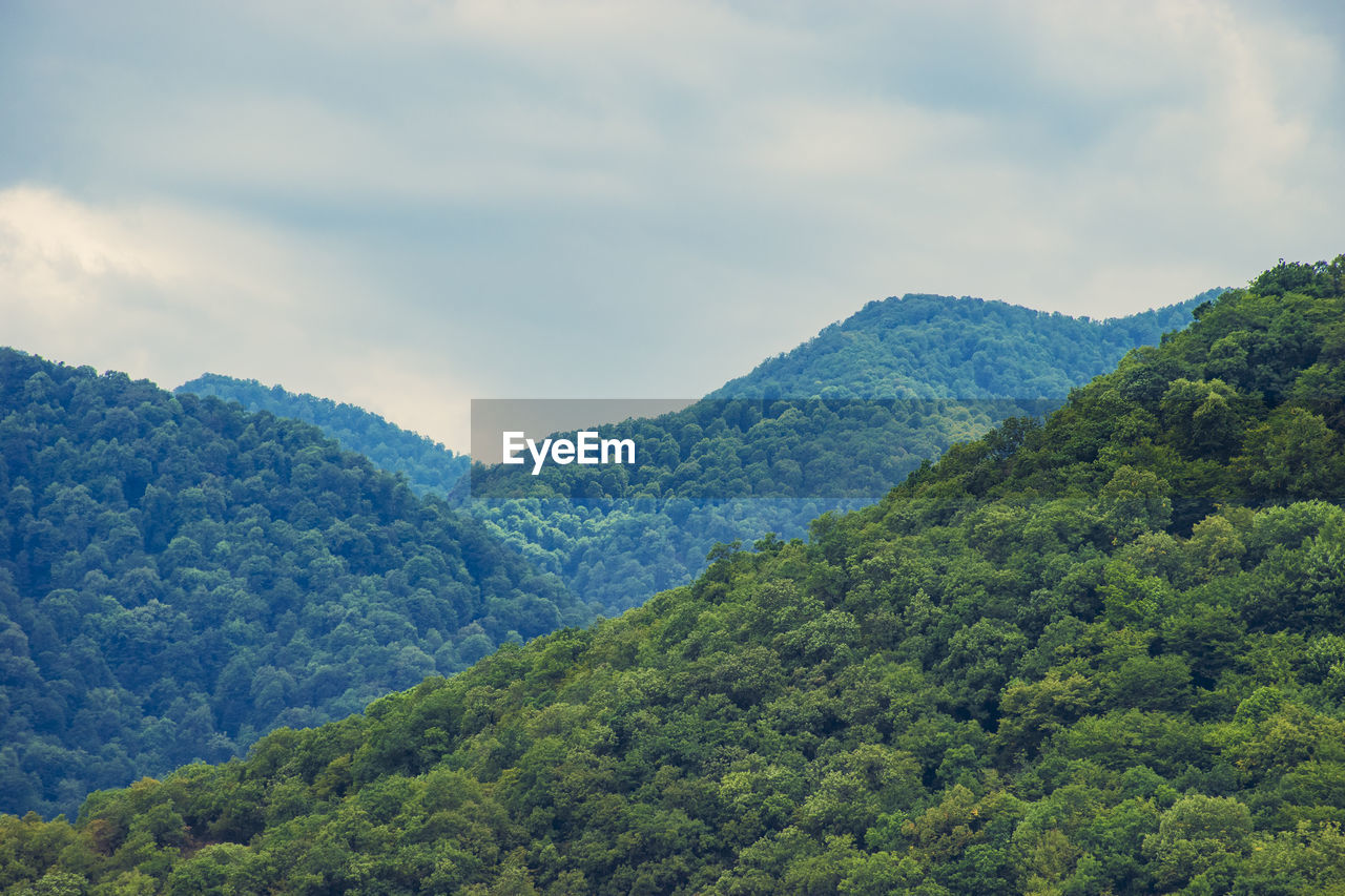 SCENIC VIEW OF GREEN MOUNTAINS AGAINST SKY