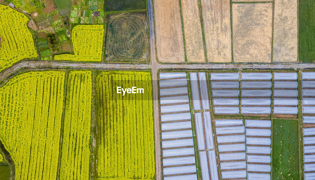 High angle view of multi colored agricultural field