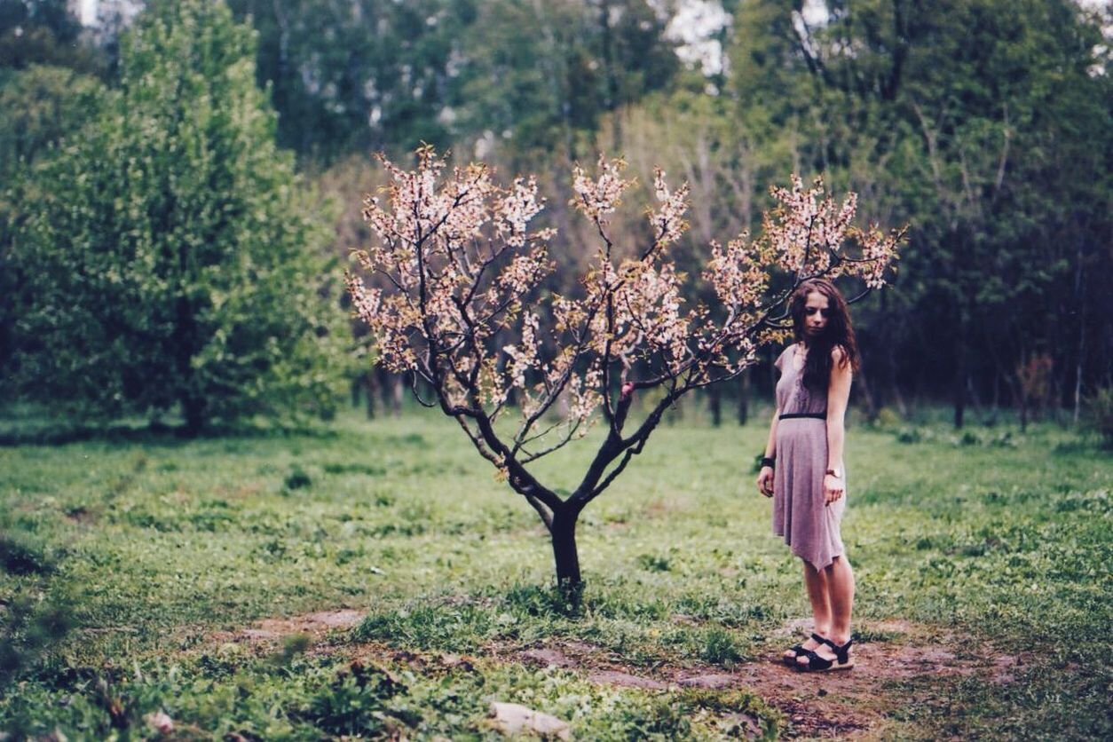 Trees growing on field