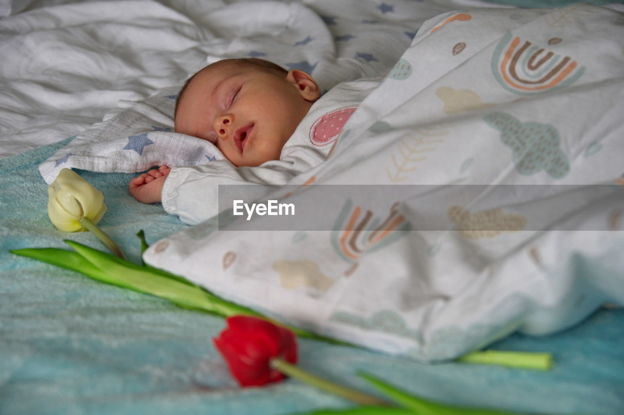 Portrait of cute newborn baby sleeping in bed with tulips around her