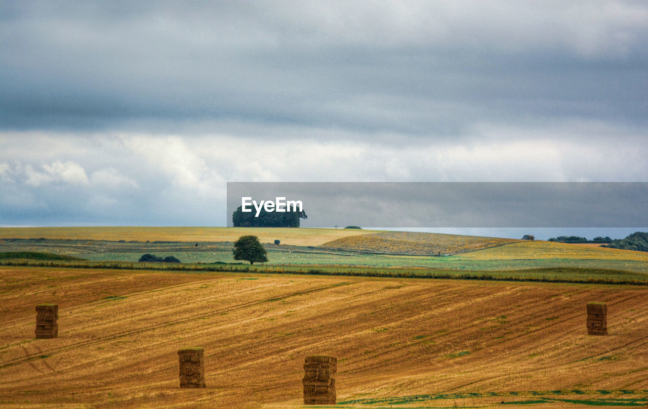 Scenic view of agricultural field against sky