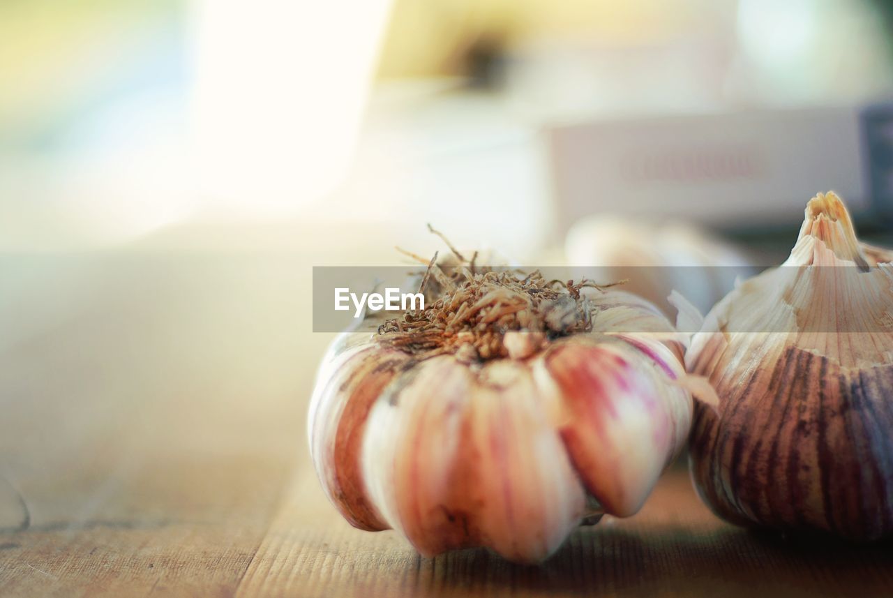 Close-up of garlic on table