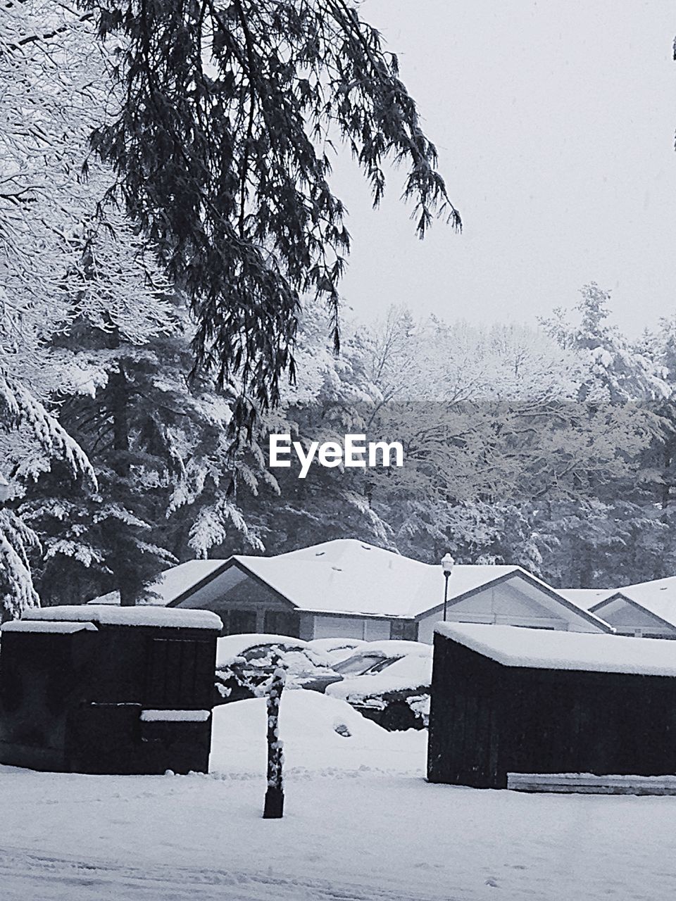 VIEW OF SNOW COVERED LANDSCAPE