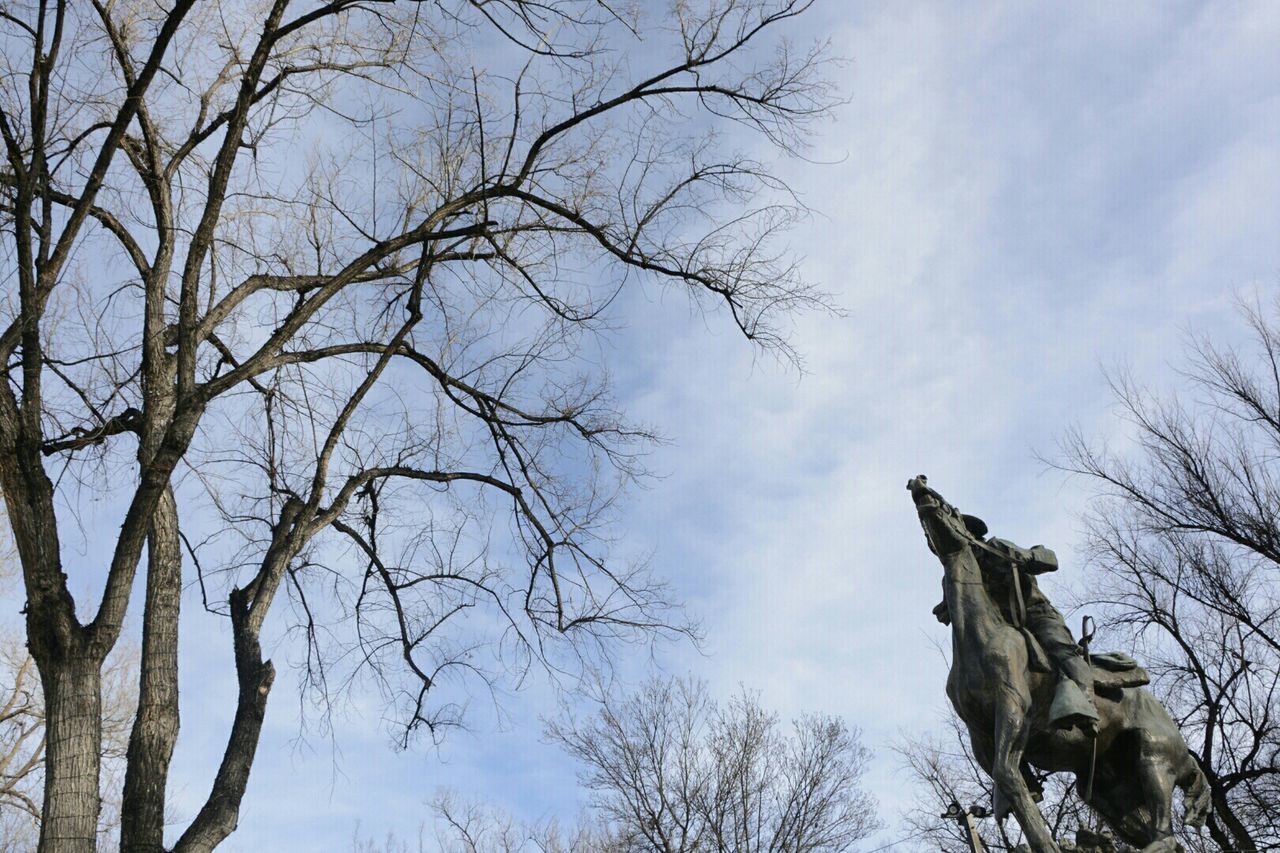 LOW ANGLE VIEW OF BARE TREES AGAINST SKY