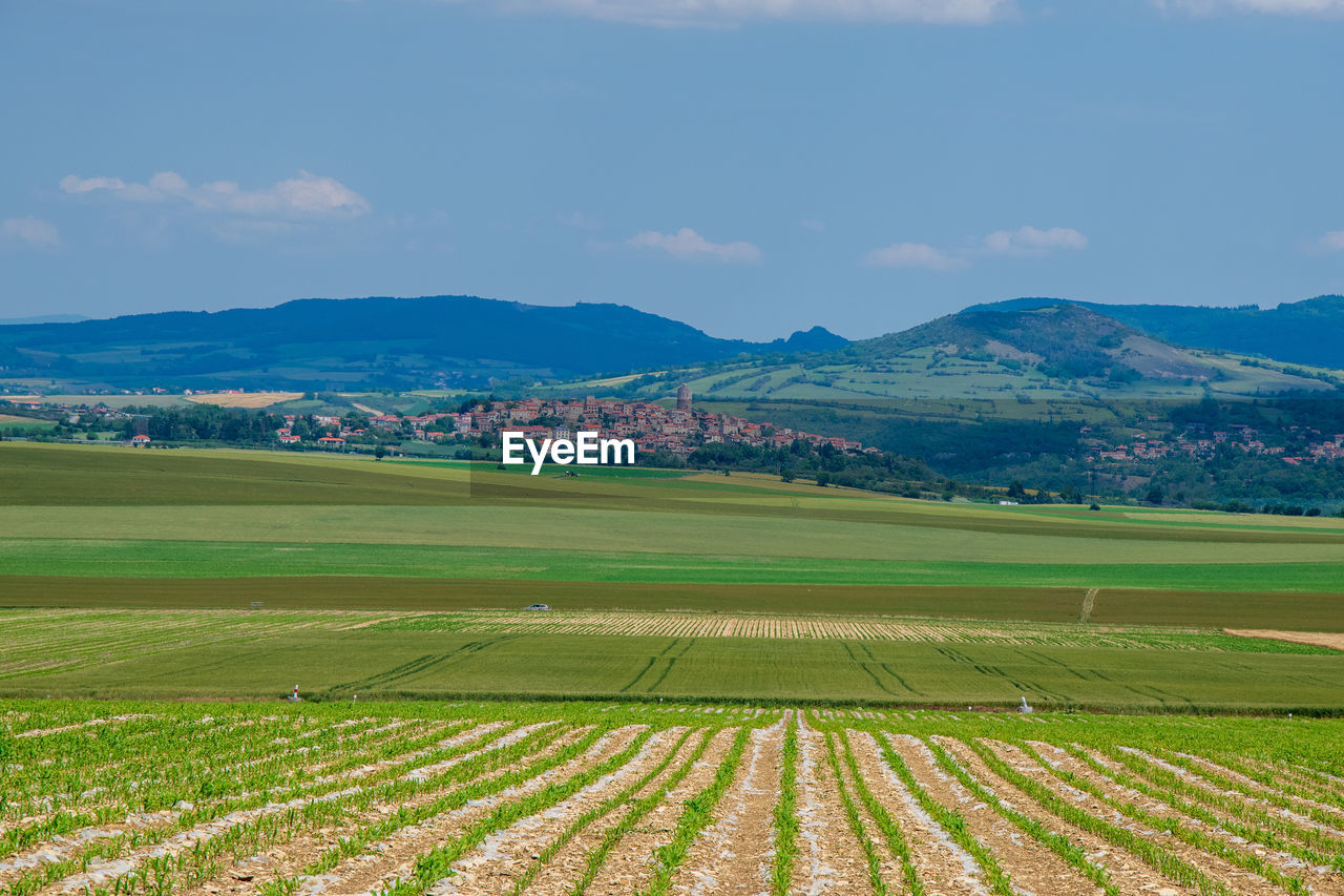 SCENIC VIEW OF FARM AGAINST SKY