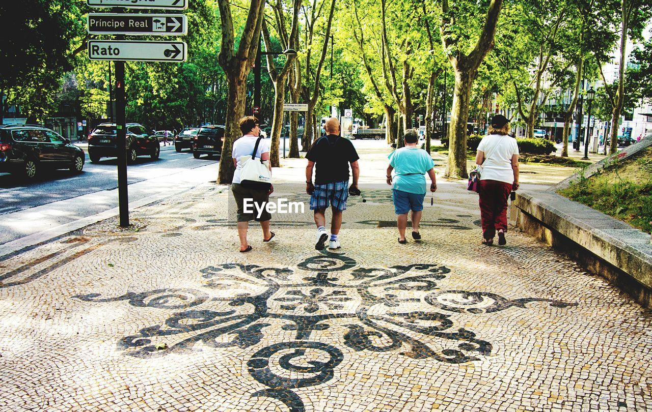 Rear view of friends walking on patterned sidewalk against trees