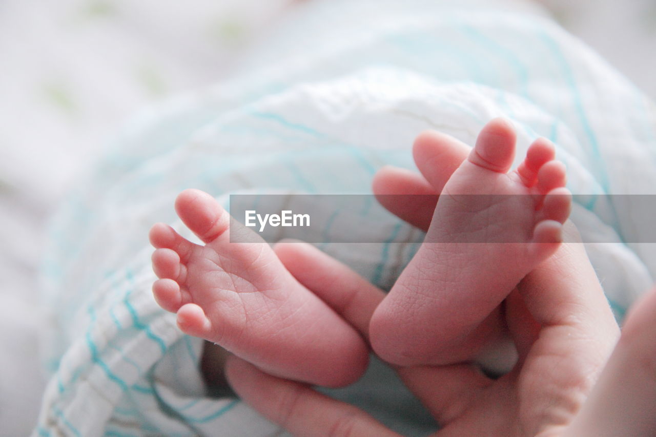 Close-up of hands holding baby feet