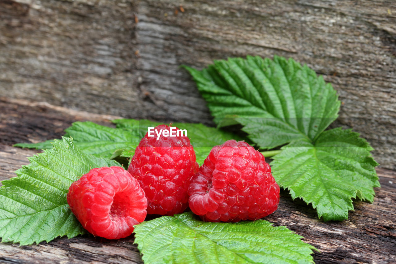 Close-up of raspberries