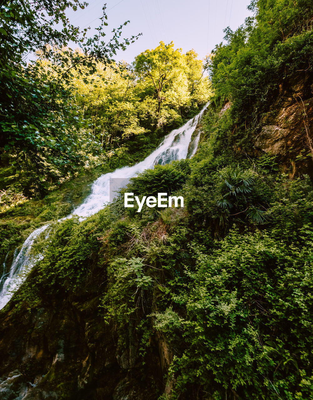 Waterfall immersed in the vegetation of the orrido of bellano, long exposure