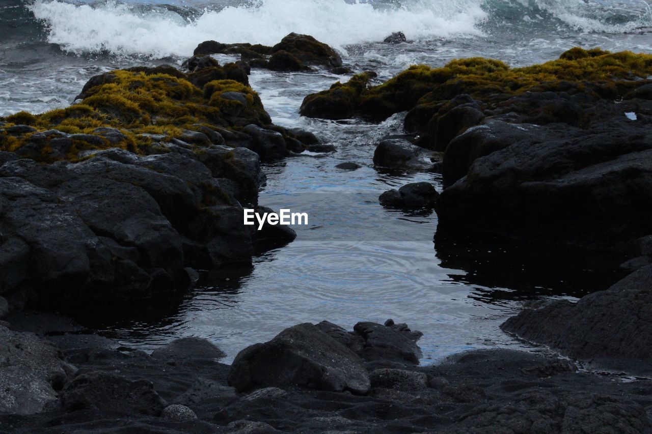 WET ROCKS ON SHORE