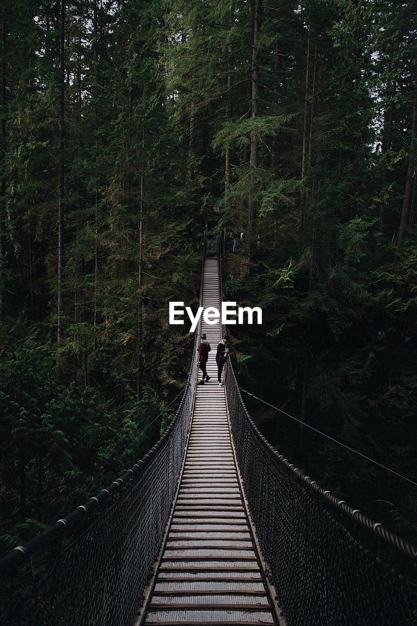 High angle view of friends standing footbridge in forest