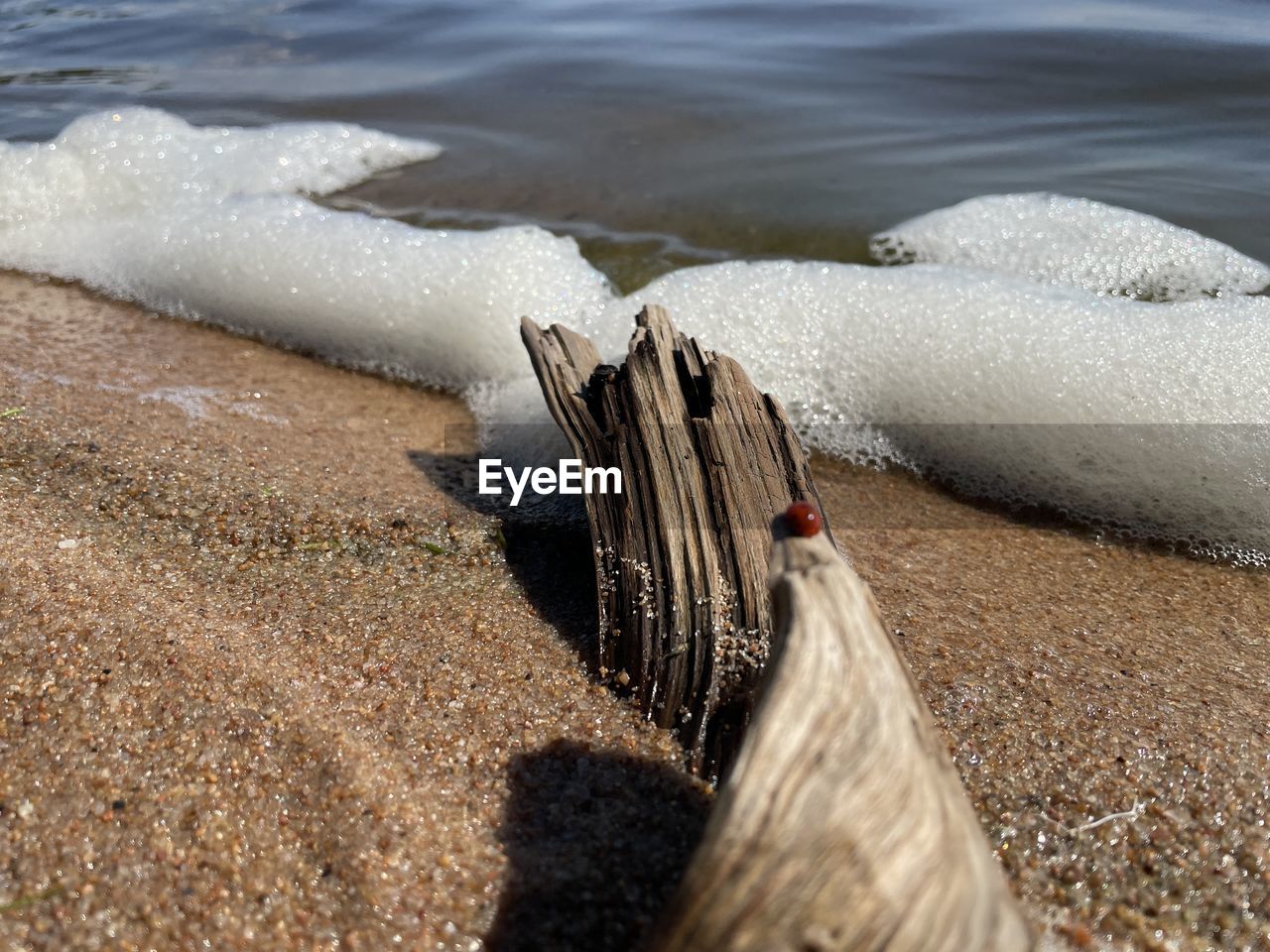 sand, water, beach, land, sea, shore, nature, no people, day, wave, rock, outdoors, coast, motion, wood, water sports, high angle view