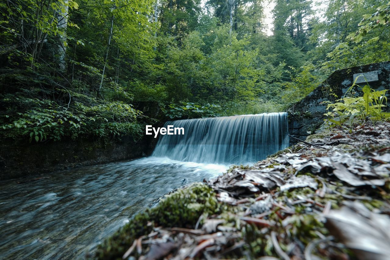 Scenic view of waterfall in forest