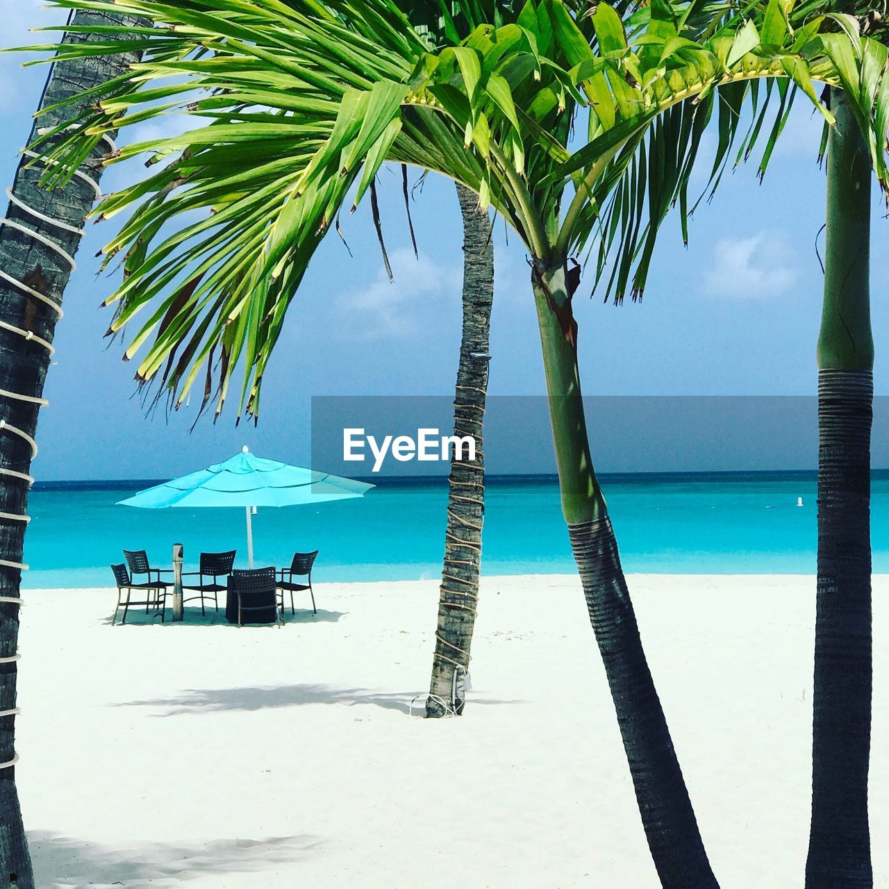 PALM TREES ON BEACH AGAINST SKY