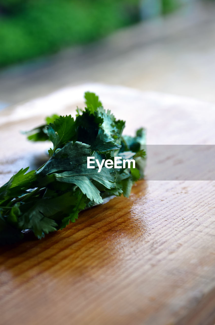 food and drink, food, healthy eating, wellbeing, freshness, vegetable, wood, green, table, produce, herb, no people, parsley, coriander, selective focus, leaf, indoors, close-up, plant part, still life, plant, nature