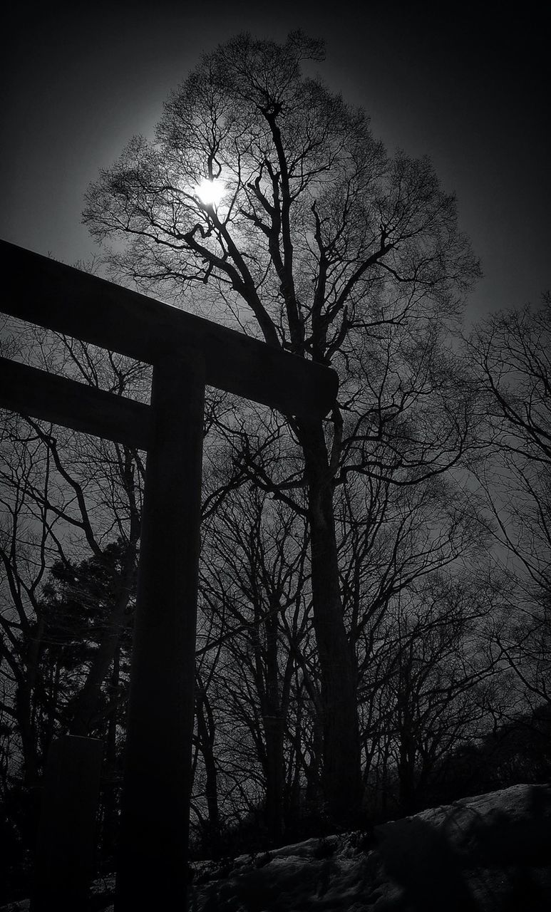 Tree and torii gate against sun