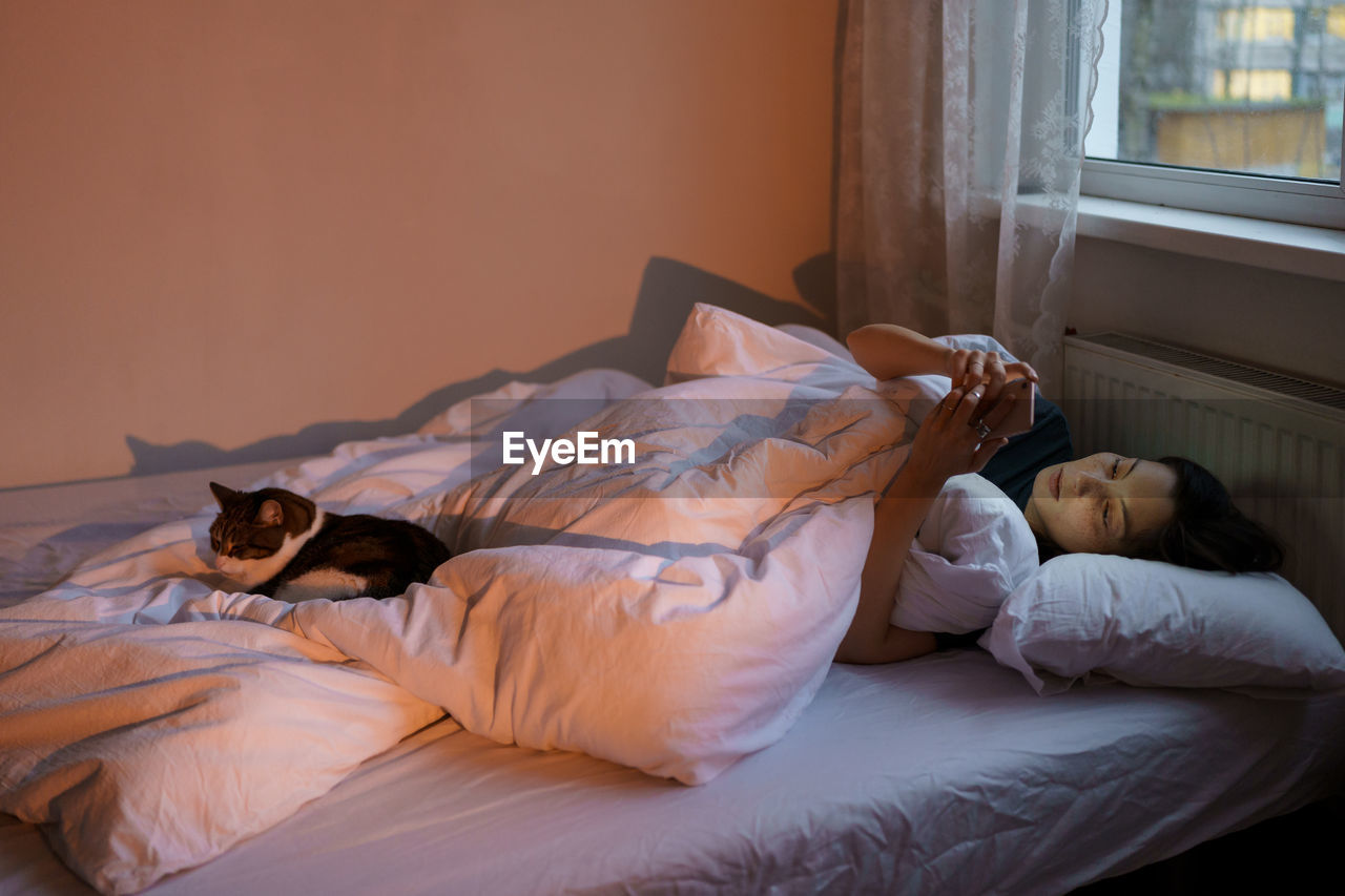 high angle view of a dog on bed at home