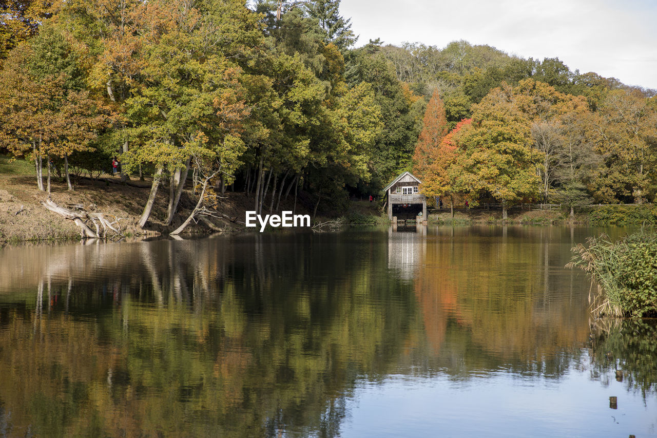 SCENIC VIEW OF LAKE AGAINST TREES