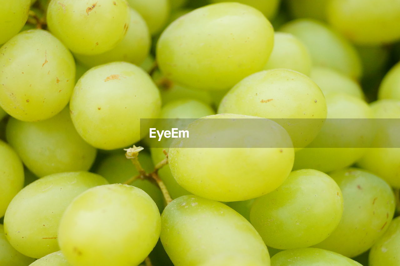 FULL FRAME SHOT OF FRUITS FOR SALE