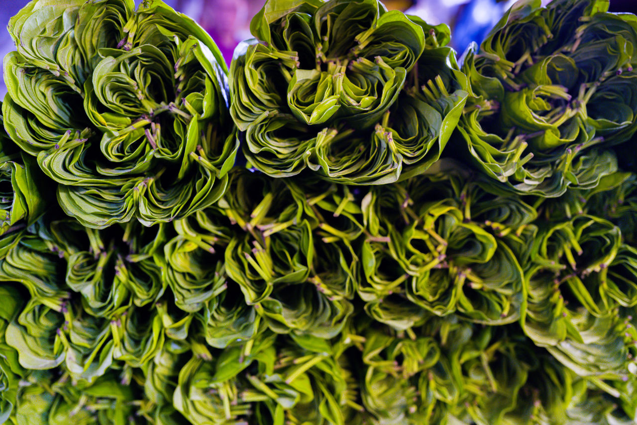 Rolled leafy greens in the market stall