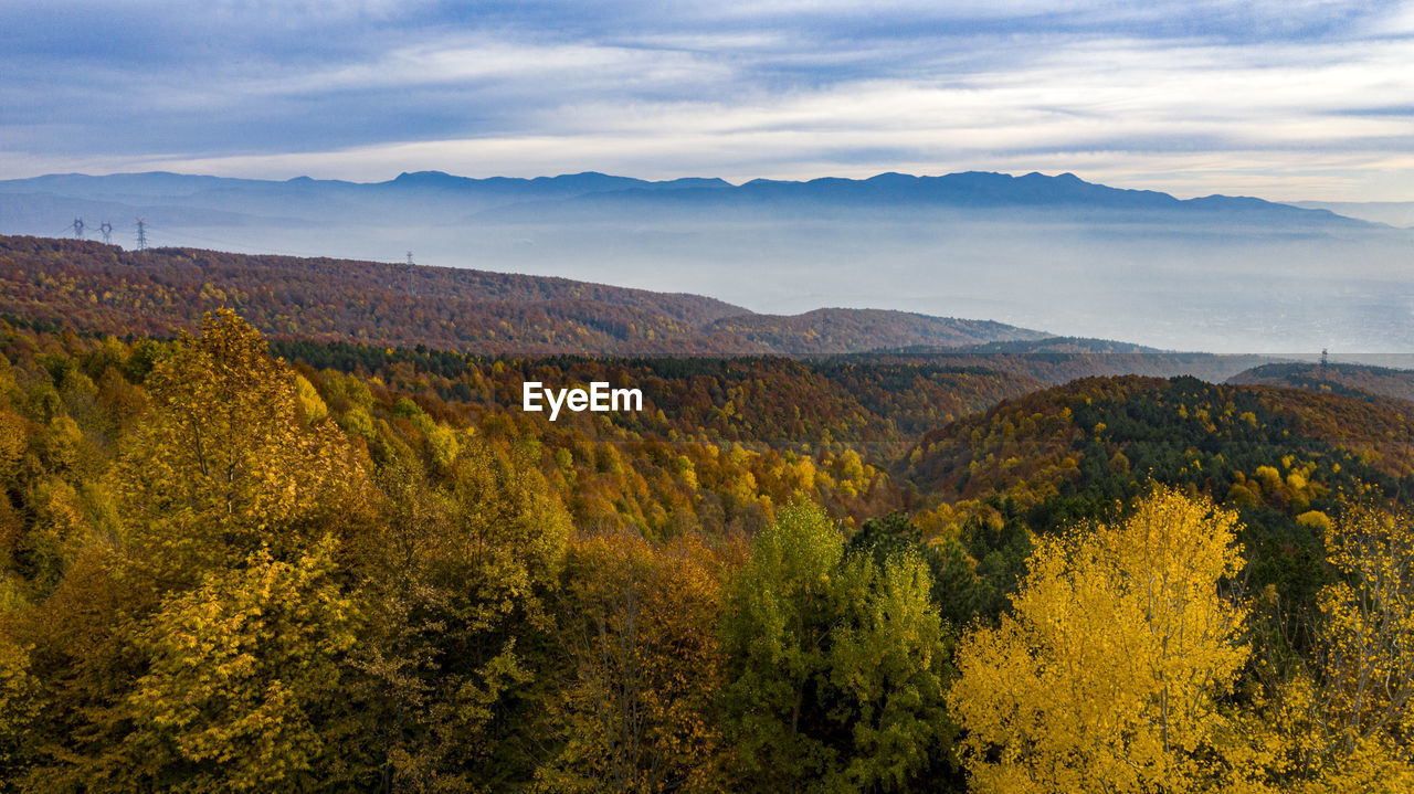 SCENIC VIEW OF TREES AND MOUNTAINS AGAINST SKY