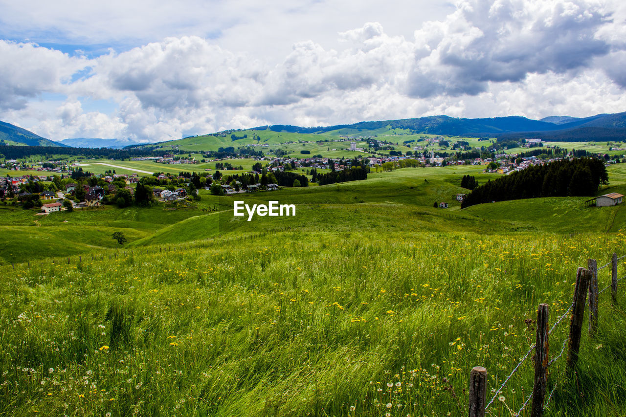 Scenic view of field against sky