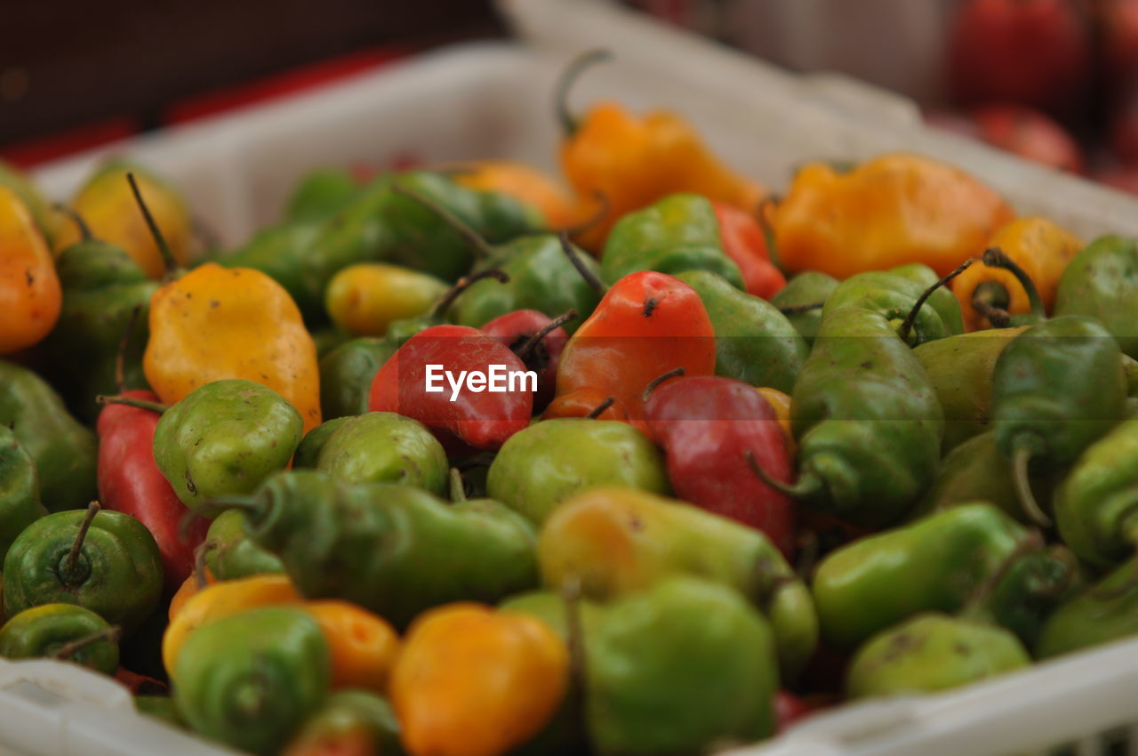 Close-up of bell peppers