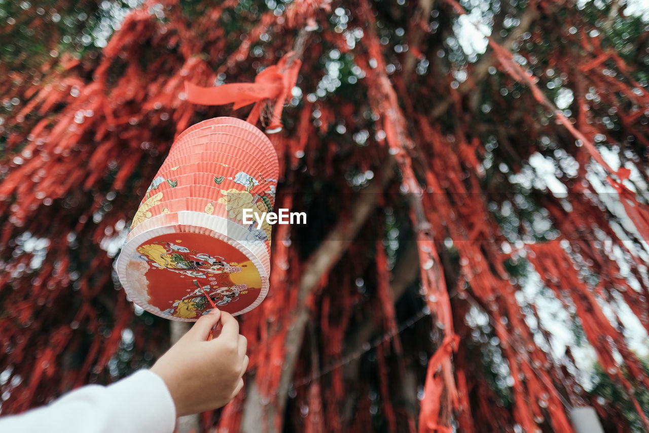 Close-up of hand holding paper lantern