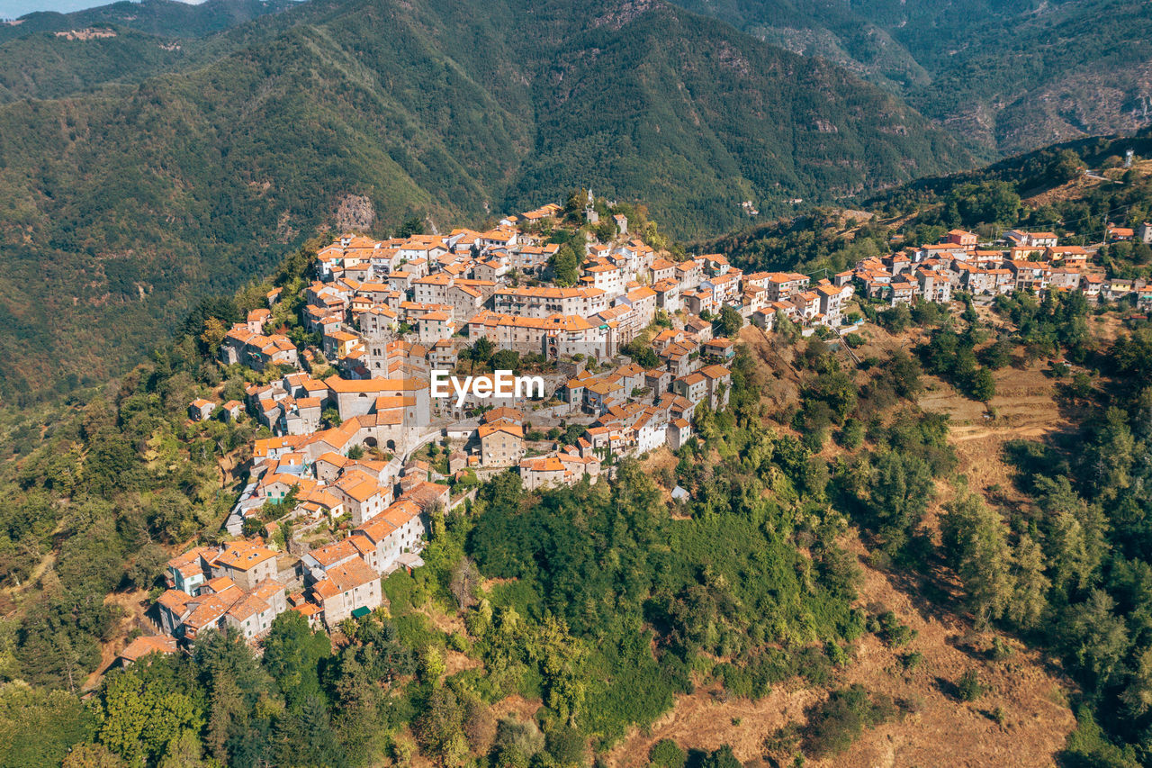 High angle view of townscape and trees