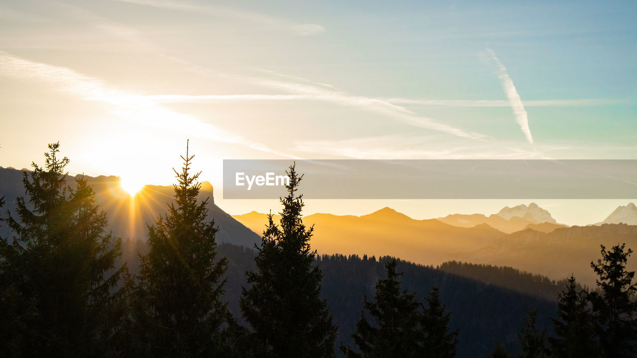 sky, tree, scenics - nature, environment, beauty in nature, sun, landscape, mountain, sunlight, sunset, nature, plant, forest, cloud, dawn, sunbeam, land, tranquility, coniferous tree, pine tree, pinaceae, tranquil scene, lens flare, silhouette, mountain range, no people, evening, idyllic, pine woodland, back lit, non-urban scene, travel, fog, woodland, outdoors, twilight, mountain peak, travel destinations, horizon, winter, rural scene, summer, cold temperature, tourism, panoramic, blue