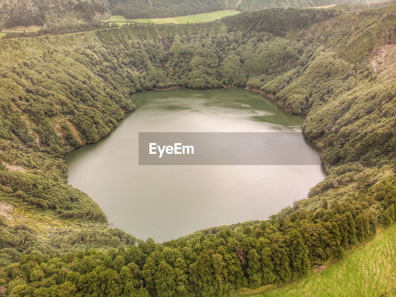 High angle view of river amidst trees