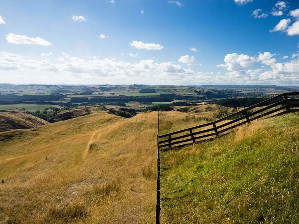 SCENIC VIEW OF RURAL LANDSCAPE