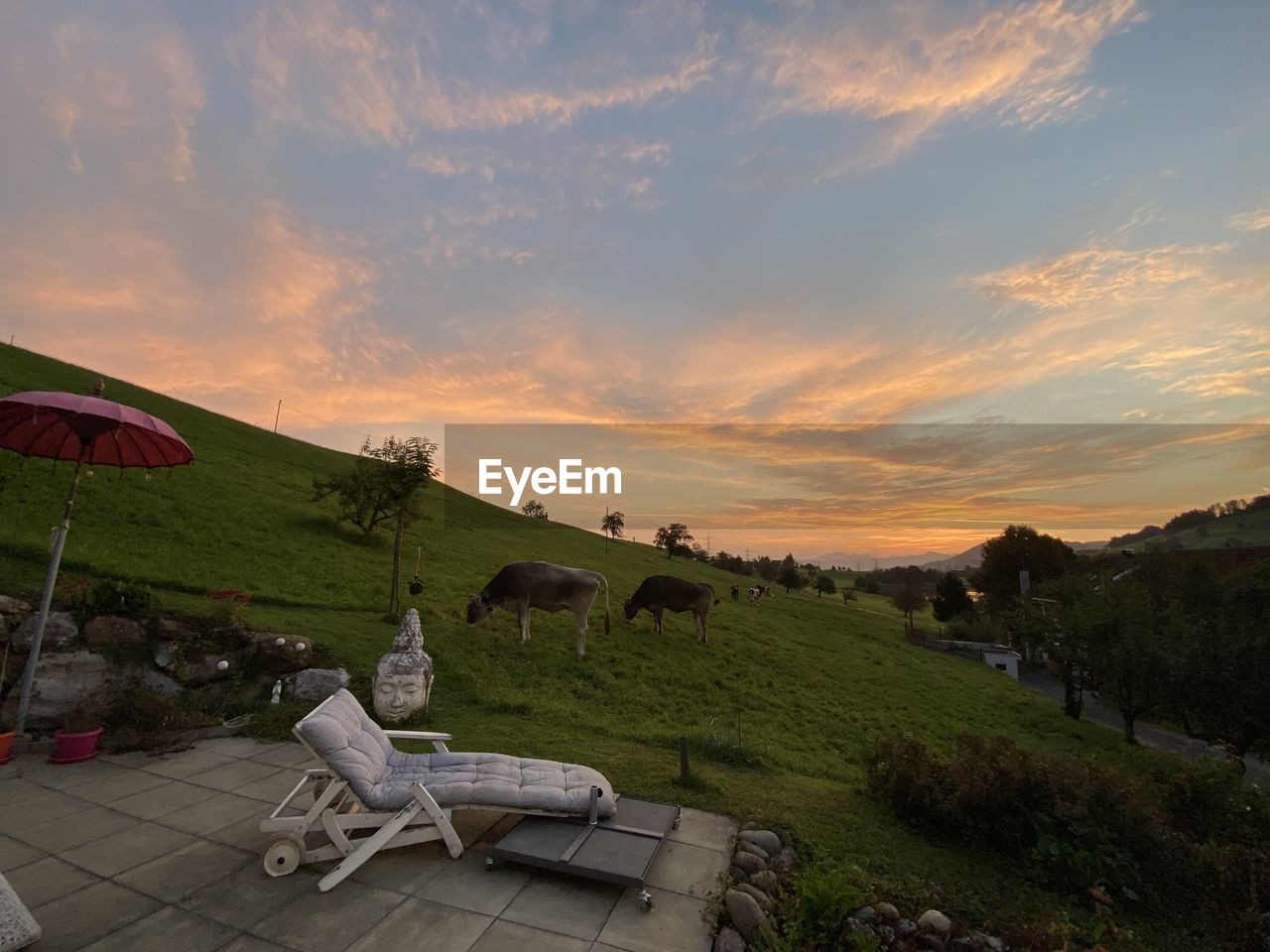 SCENIC VIEW OF FIELD AGAINST SKY AT SUNSET