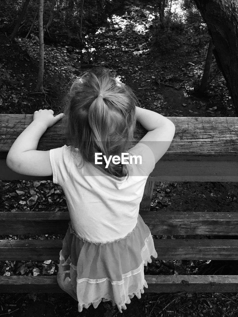 High angle view of girl standing on wooden railing