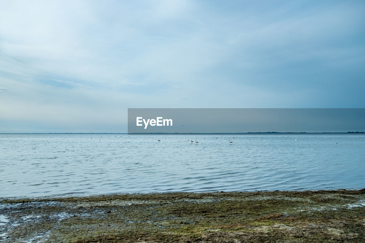 SCENIC VIEW OF SEA