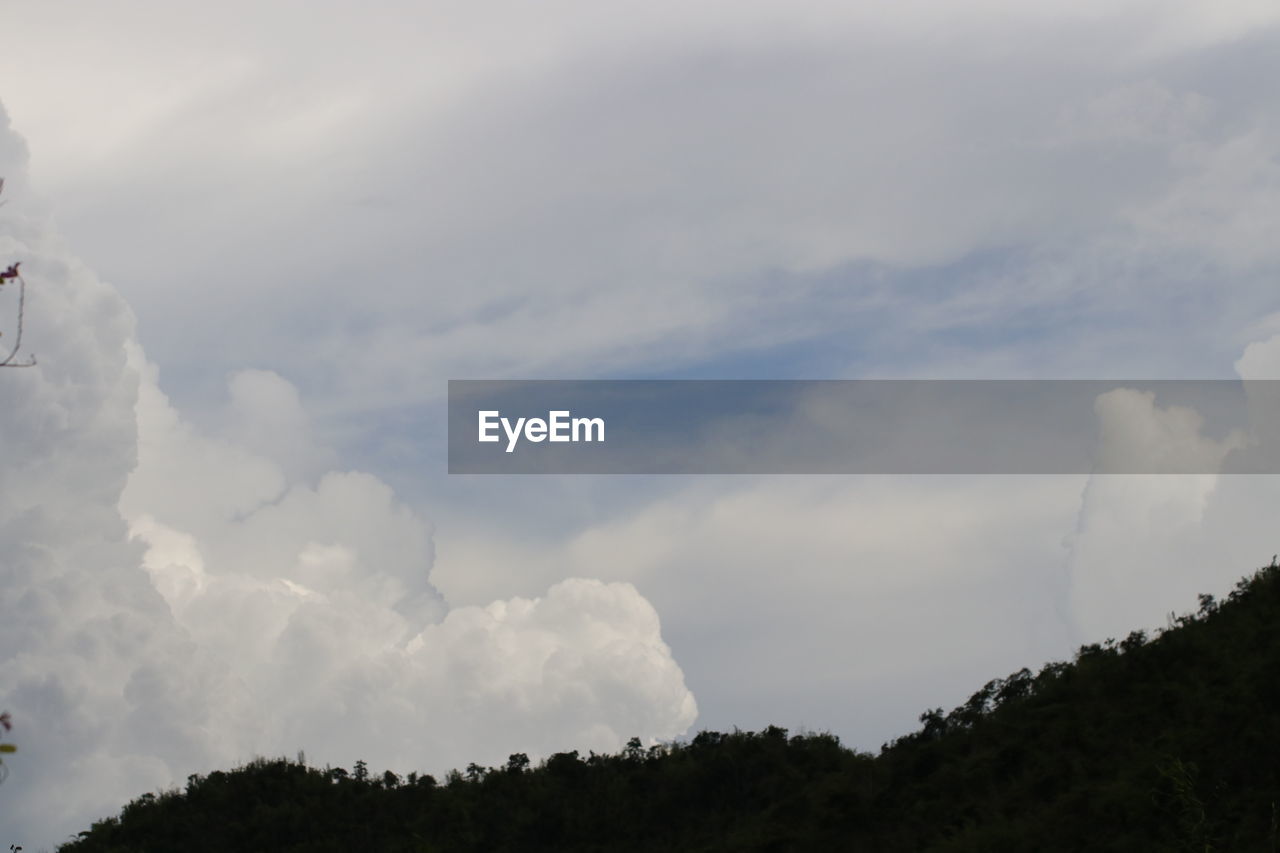 sky, cloud, tree, nature, plant, environment, beauty in nature, mountain, day, outdoors, no people, land, landscape, forest, scenics - nature, low angle view