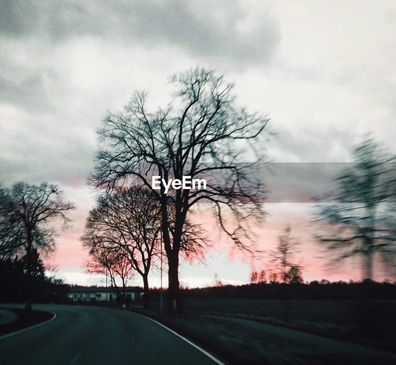 ROAD PASSING THROUGH BARE TREES AGAINST CLOUDY SKY