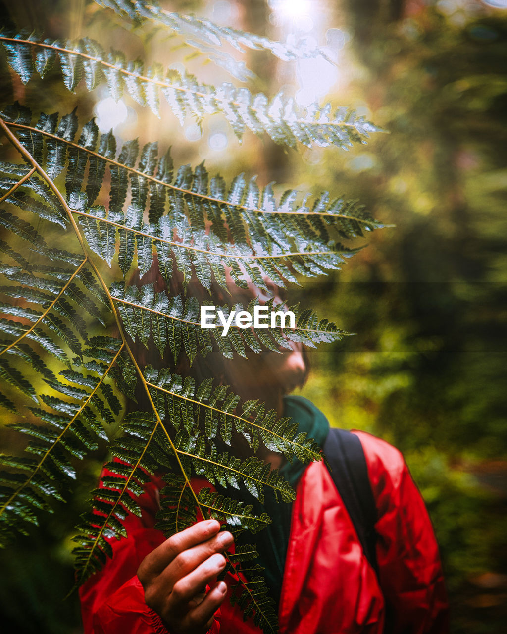 Woman touching leaves of plant in forest