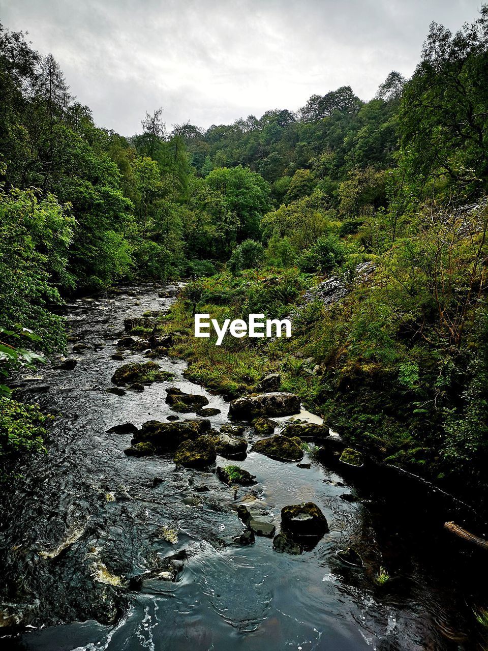 Scenic view of river stream in yorkshire