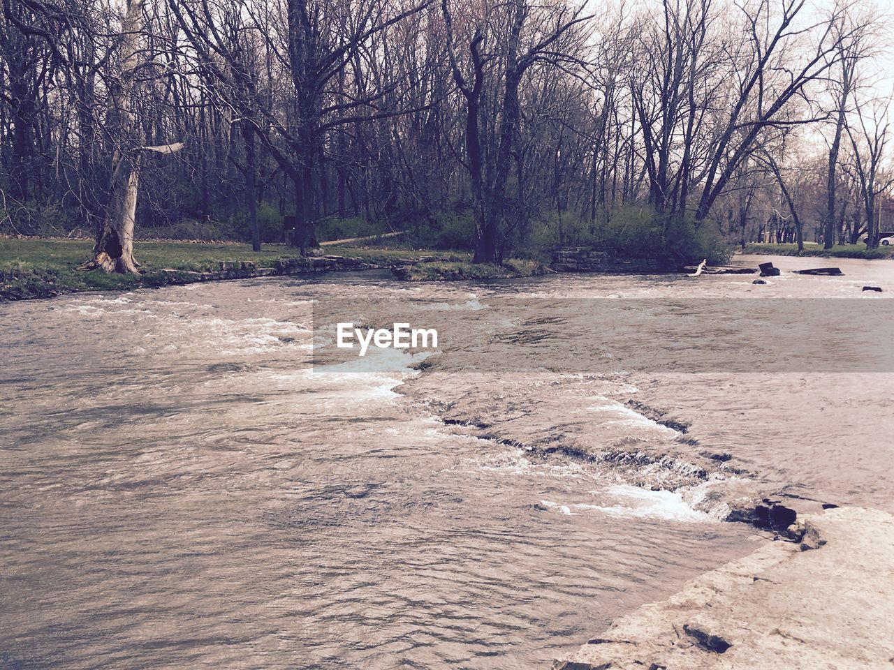 Scenic view of bare trees next to river