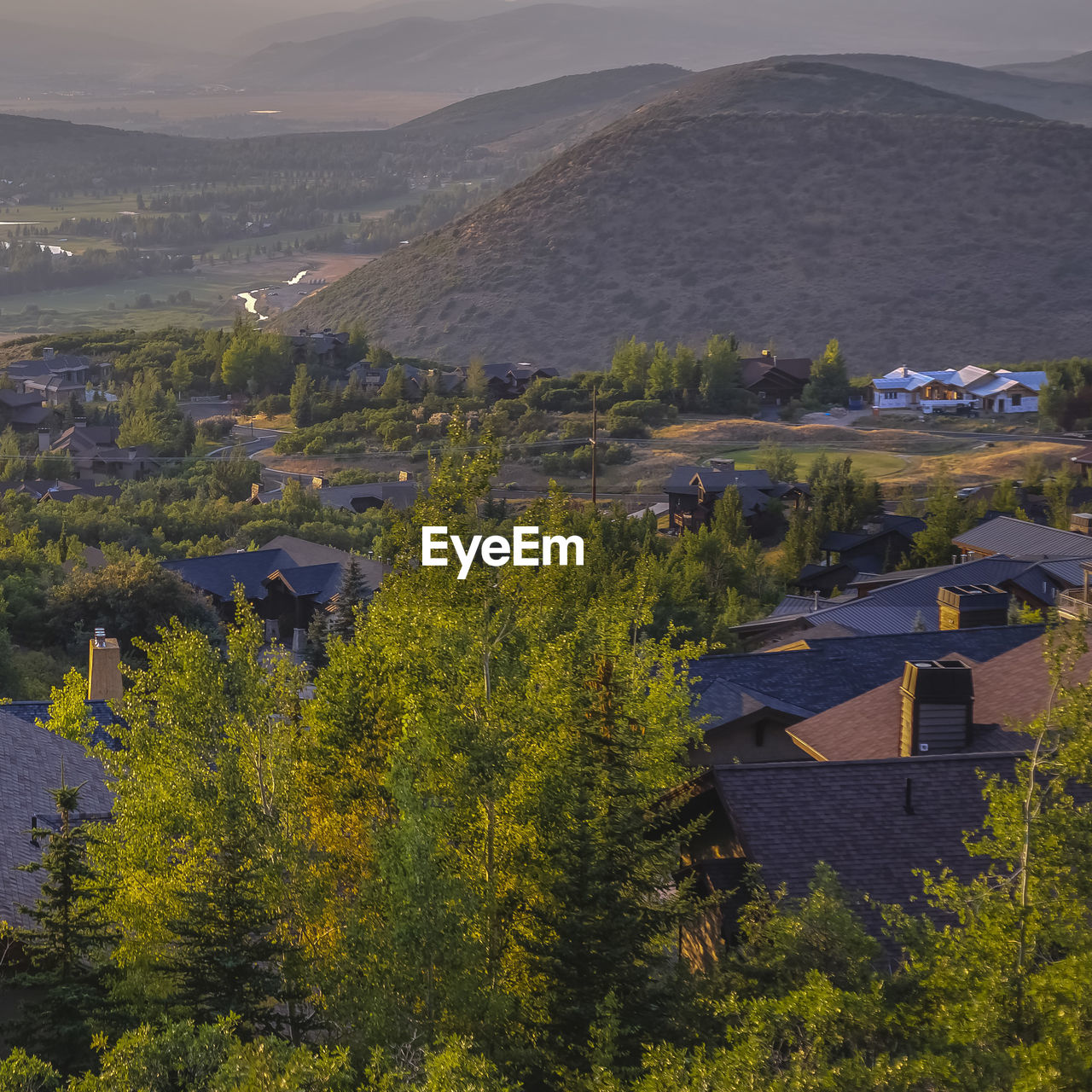 HIGH ANGLE VIEW OF TOWNSCAPE BY TREES