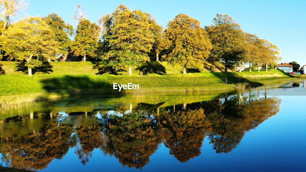 REFLECTION OF TREES IN LAKE AGAINST SKY