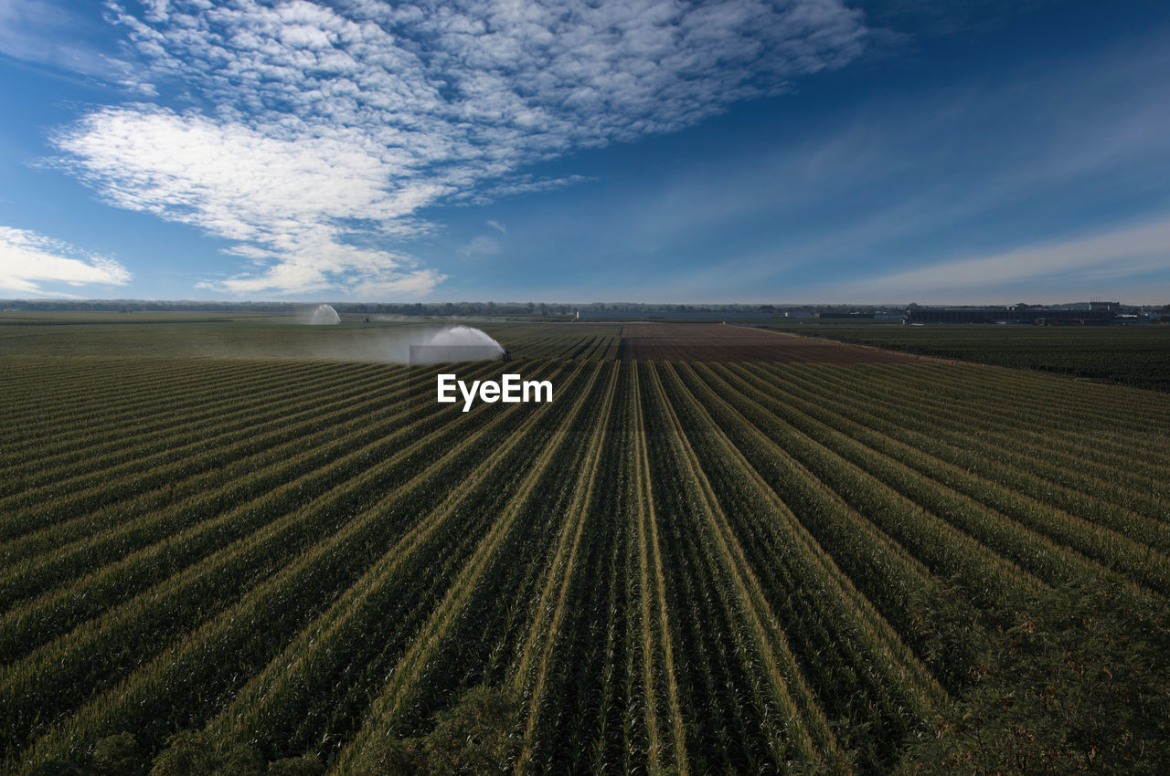 landscape, land, environment, horizon, sky, agriculture, field, nature, cloud, plain, rural scene, scenics - nature, plant, crop, beauty in nature, growth, farm, no people, soil, food, tranquility, horizon over land, food and drink, grassland, outdoors, blue, tranquil scene, prairie, day, vegetable, in a row, sunlight, travel, rural area, social issues, environmental conservation, urban skyline, summer