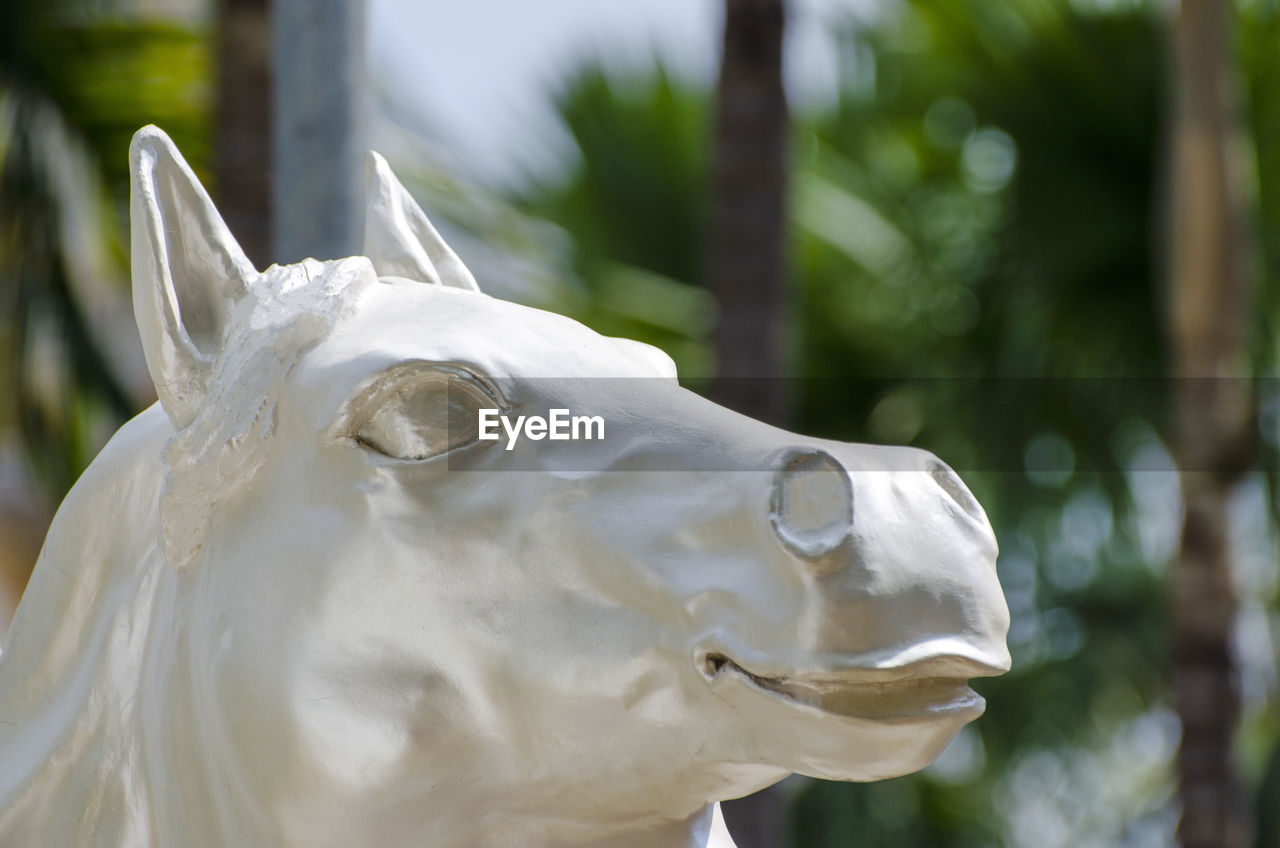 CLOSE-UP OF WHITE STATUE