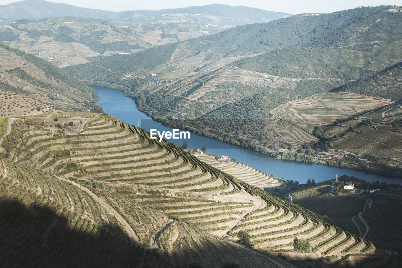 Douro vineyards from aerial view