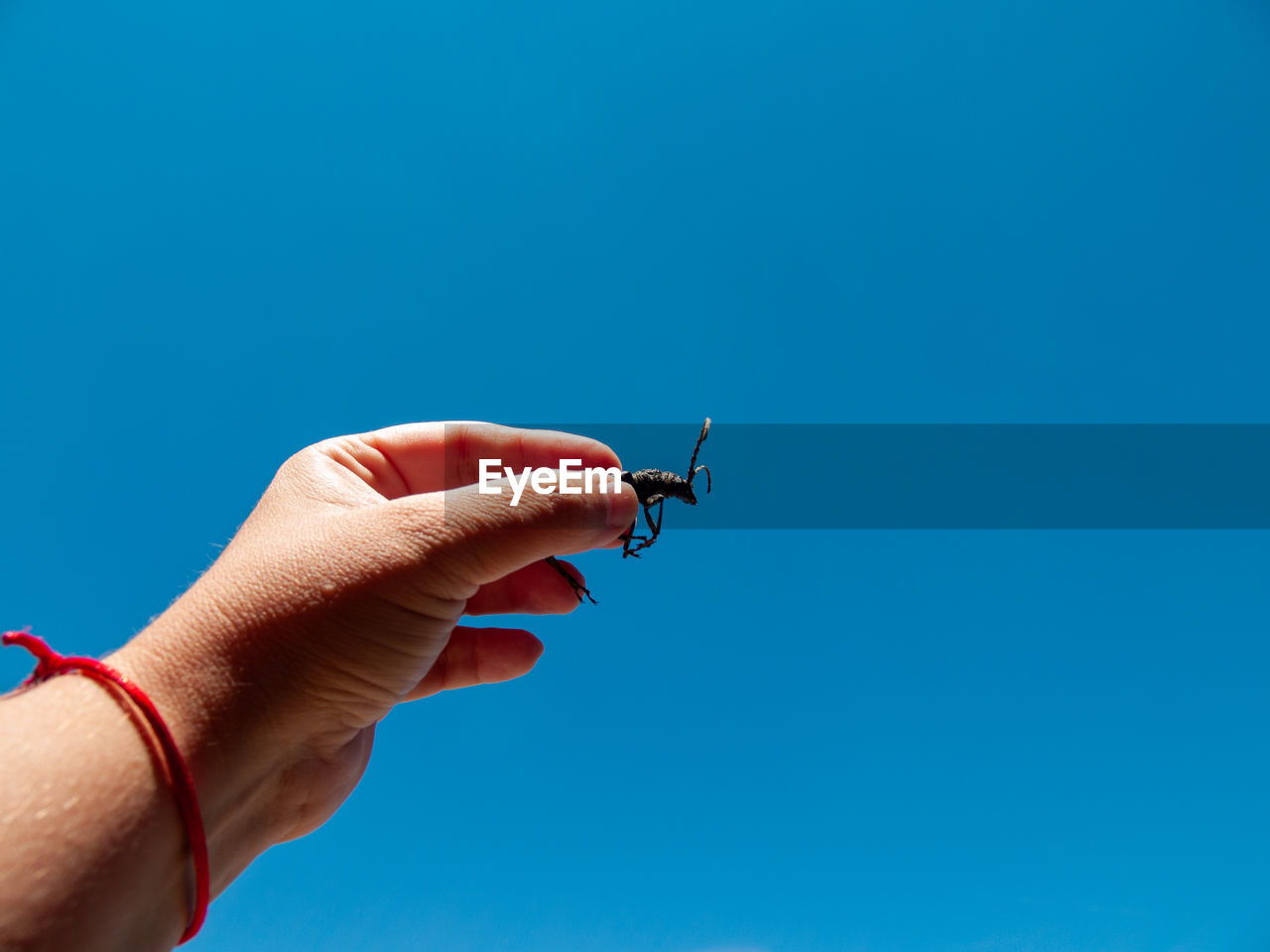 CLOSE-UP OF HAND HOLDING BLUE SKY AGAINST CLEAR BACKGROUND