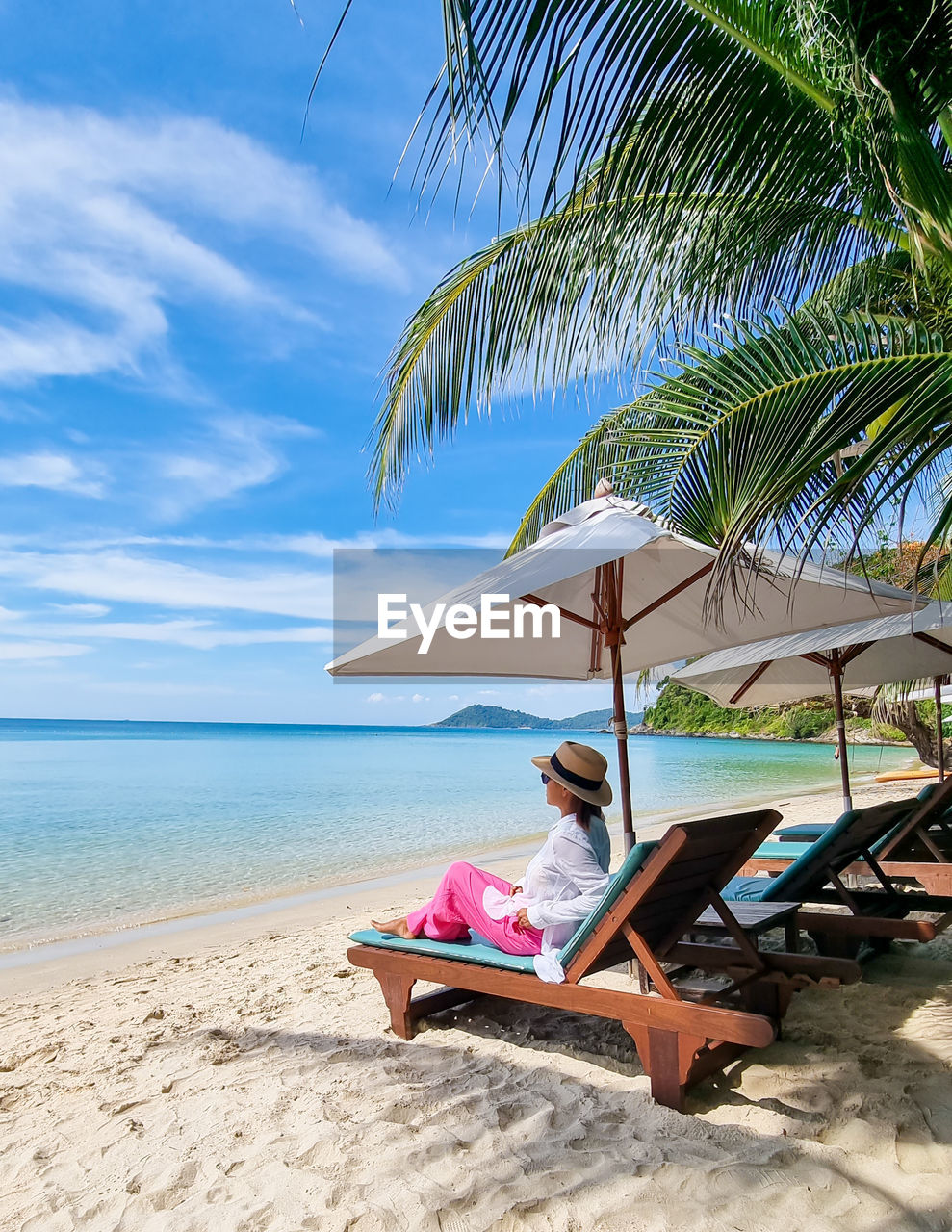 palm tree on beach