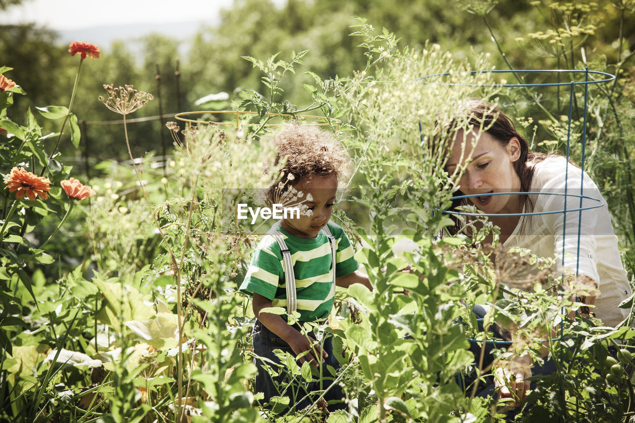 Mother examining flowers with son at backyard