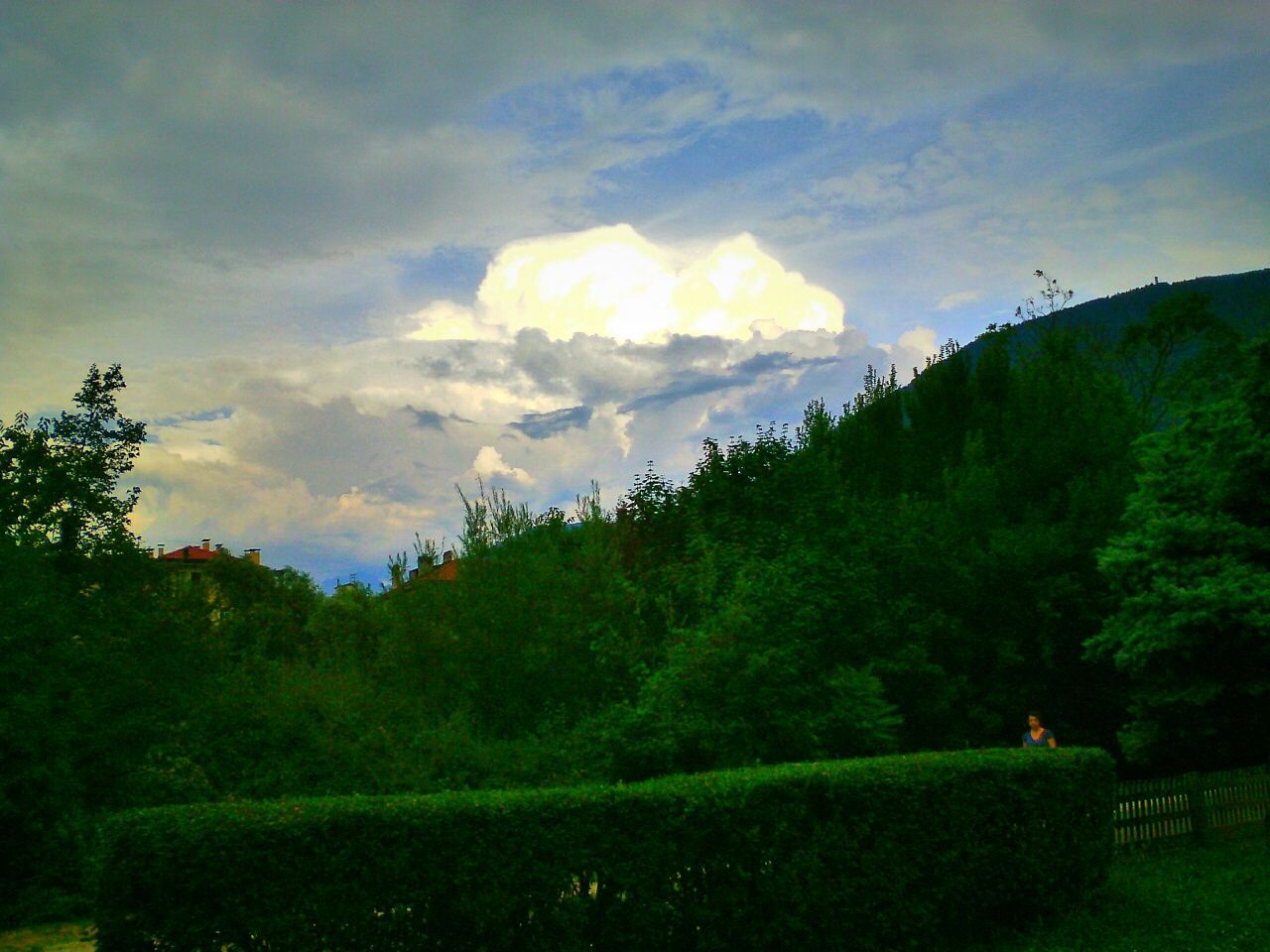 TREES ON LANDSCAPE AGAINST CLOUDY SKY