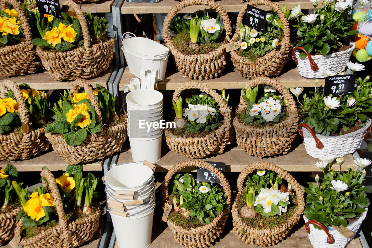 Plants and flowers in baskets at market for sale